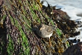 22 01 15_0866_edited-1